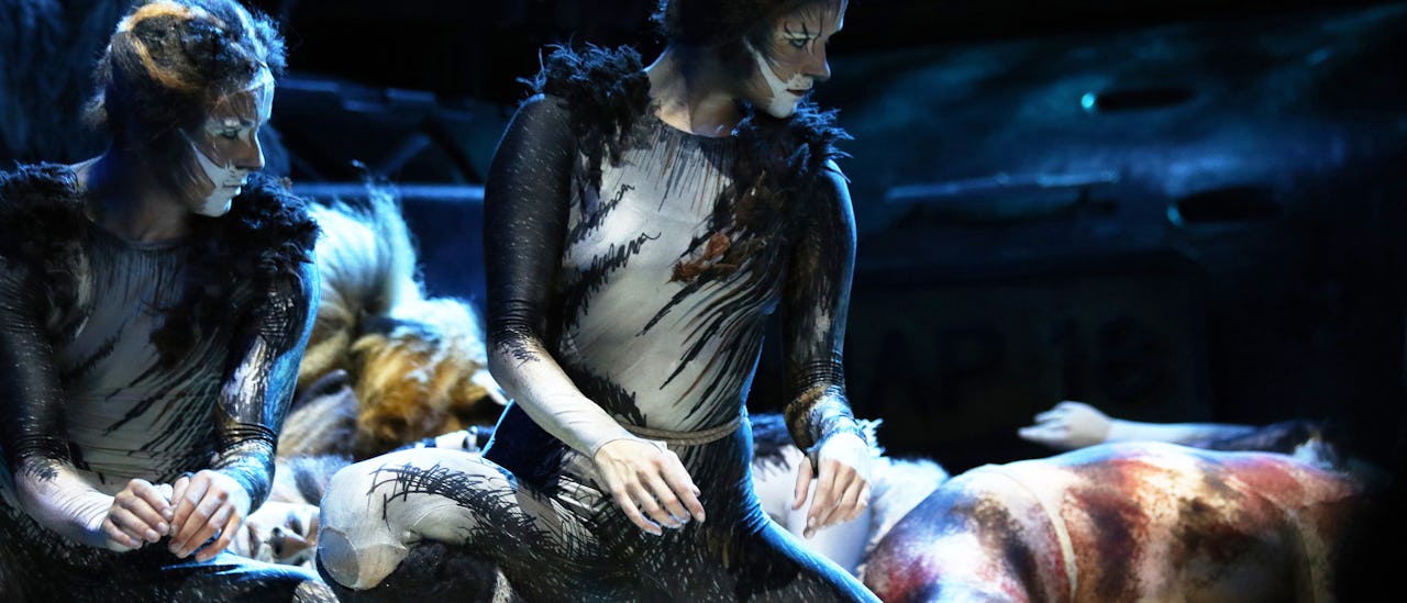 Genießen Sie eine 90-minütige Aufführung von Cats, bei der keine Kosten gescheut werden