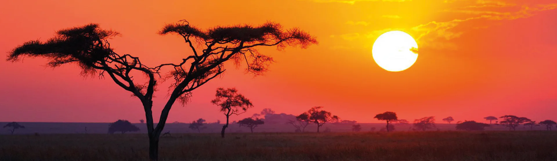 Afrika