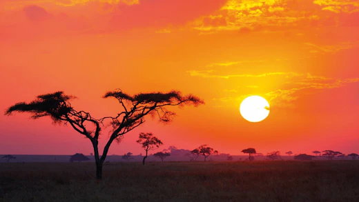 Afrika