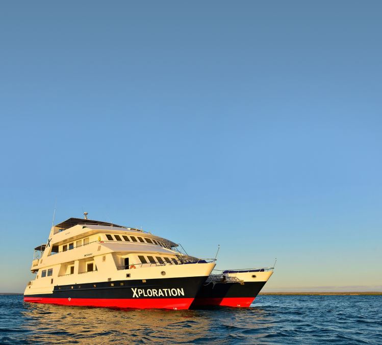 Celebrity Xploration