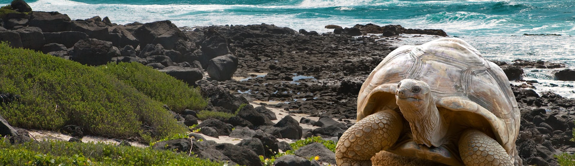 Kreuzfahrten nach Mauritius