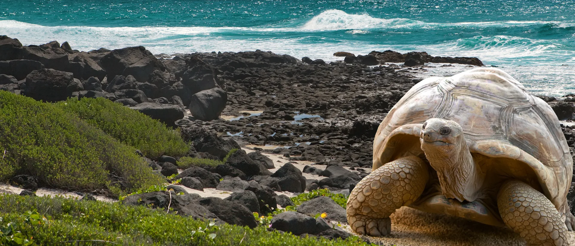 Kreuzfahrten nach Mauritius