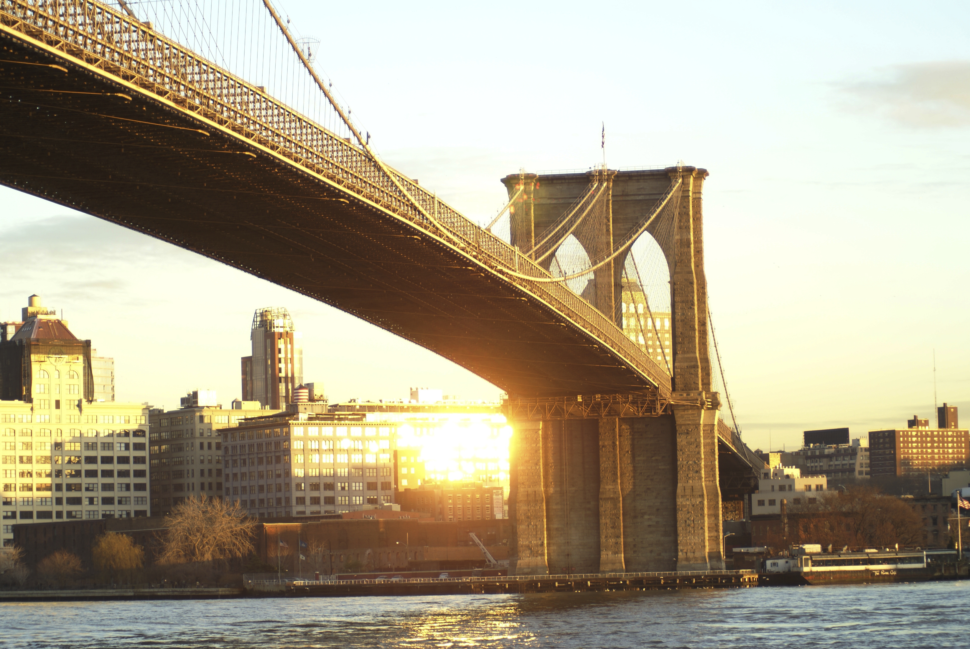 Transatlantik Kreuzfahrt mit Hund