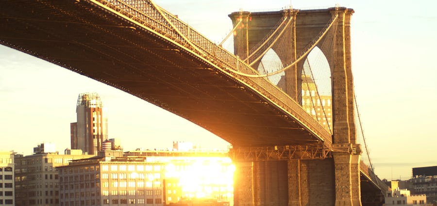 Transatlantik Kreuzfahrt mit Hund