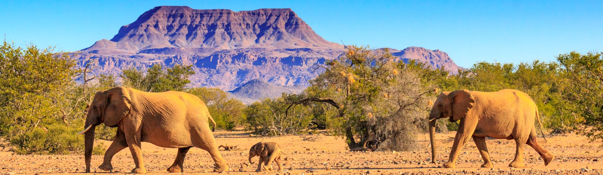 Kreuzfahrt nach Namibia
