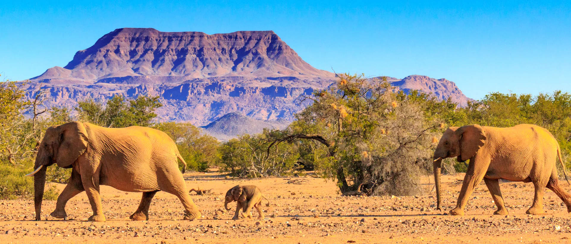 Kreuzfahrt nach Namibia