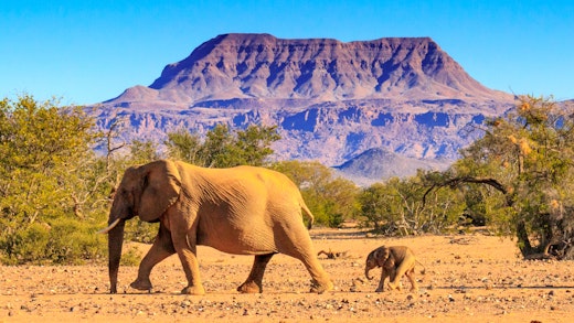 Kreuzfahrt nach Namibia