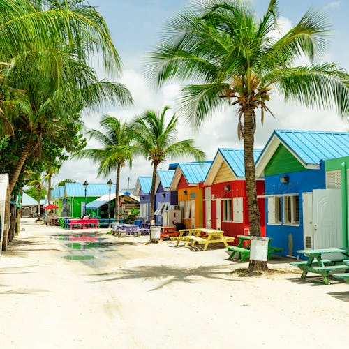 Kreuzfahrten in der Karibik