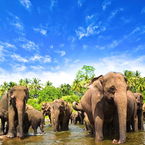 Weltreise Kreuzfahrten 2025