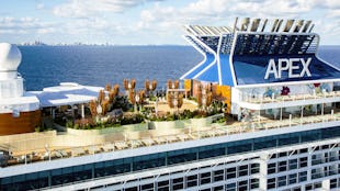Celebrity Apex